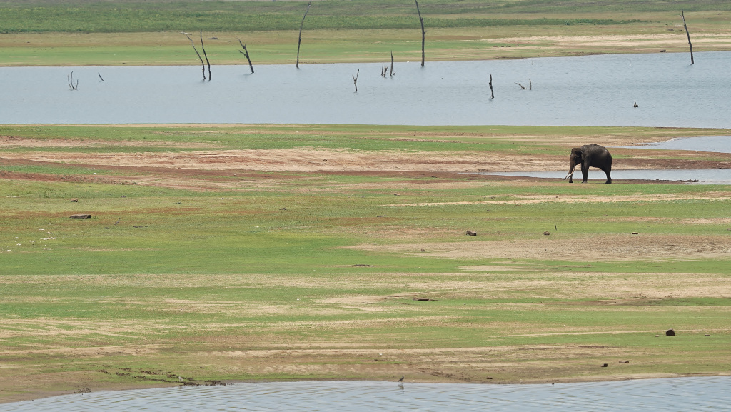 50- udawalawe reservoir.JPG