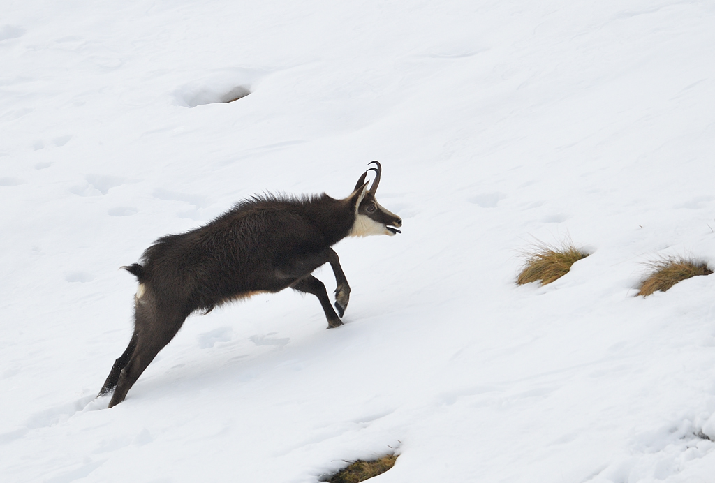 -DS5_6245.jpg