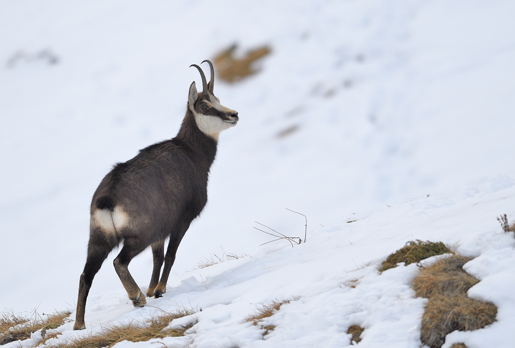 DS5_6305.jpg