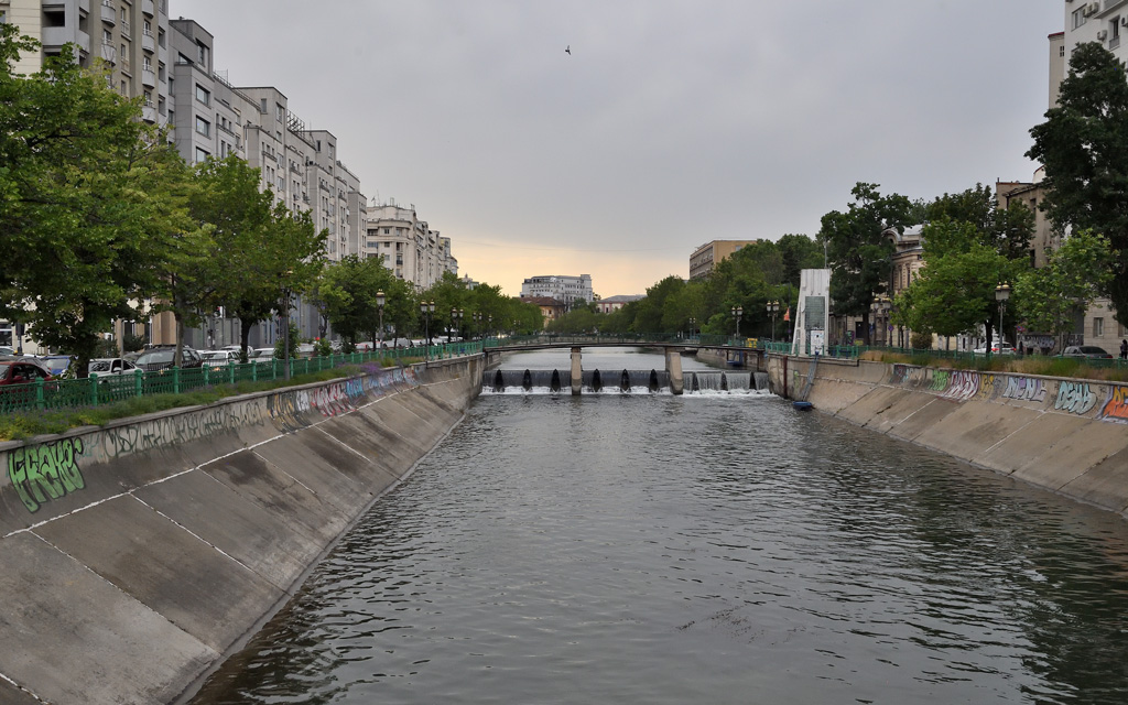 DS5_7958.jpg