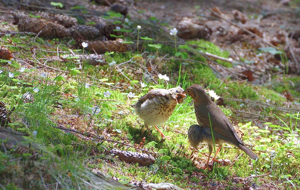DSC_7285.jpg