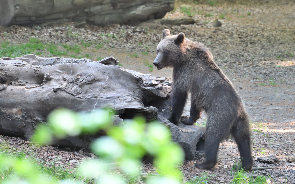 DS5_8062.jpg