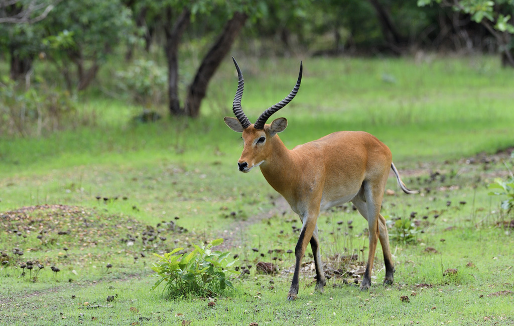 DS5_9508.jpg