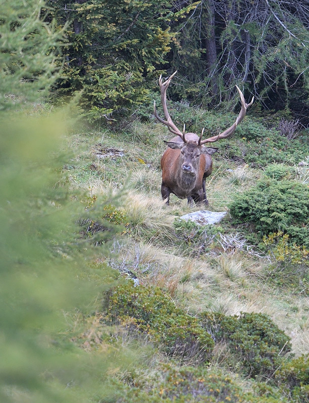 DS5_0677.jpg