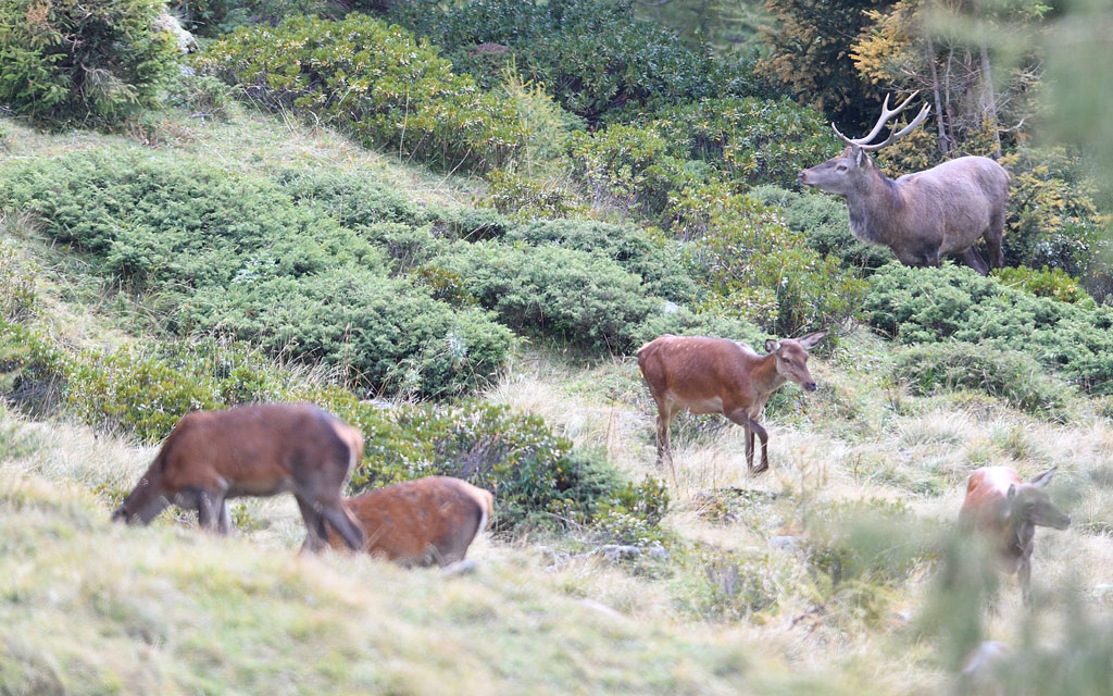 DS5_0696.jpg