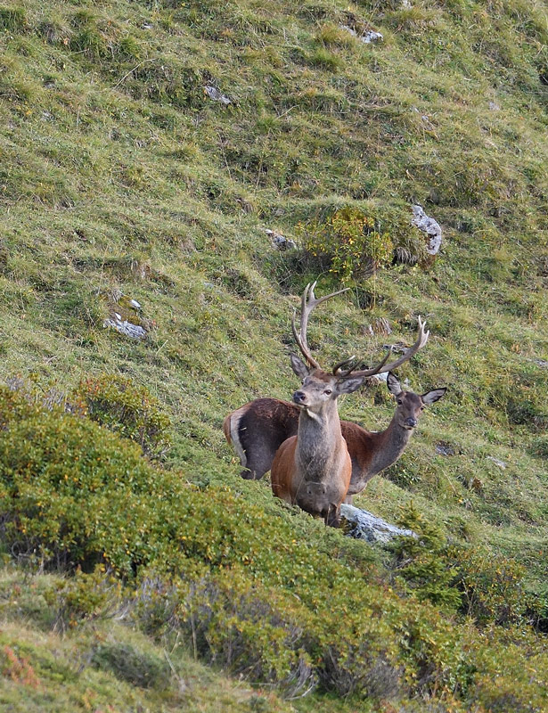 DS5_0772.jpg