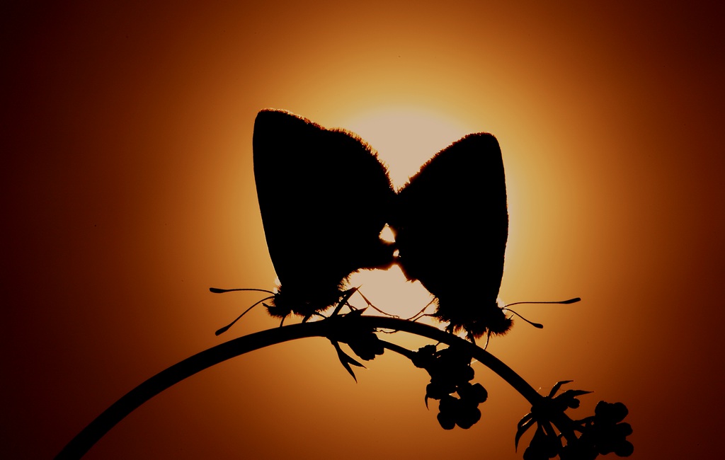 13 coucher du soleil.jpg