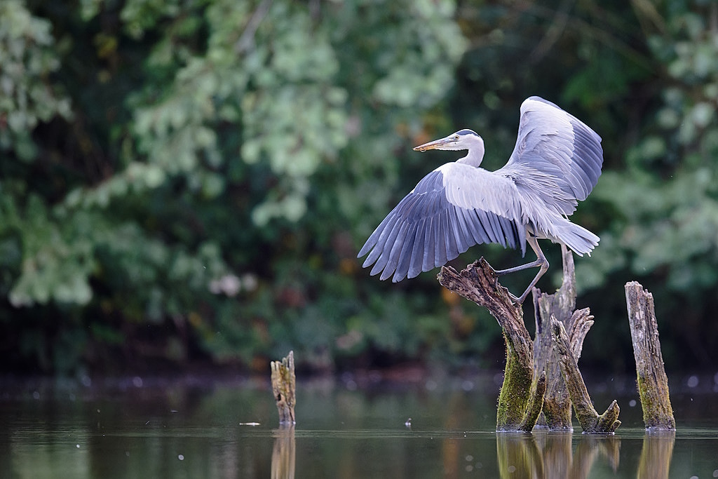 DSC_6635_DxO.jpg