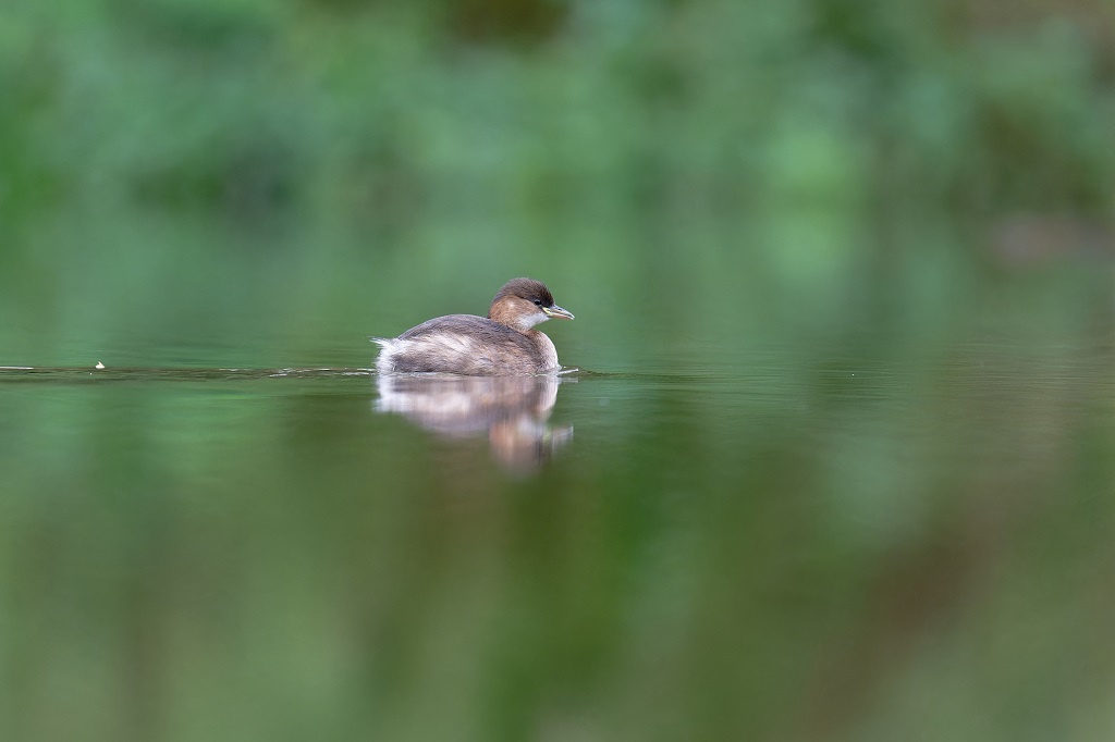 DSC_6982_DxO.jpg