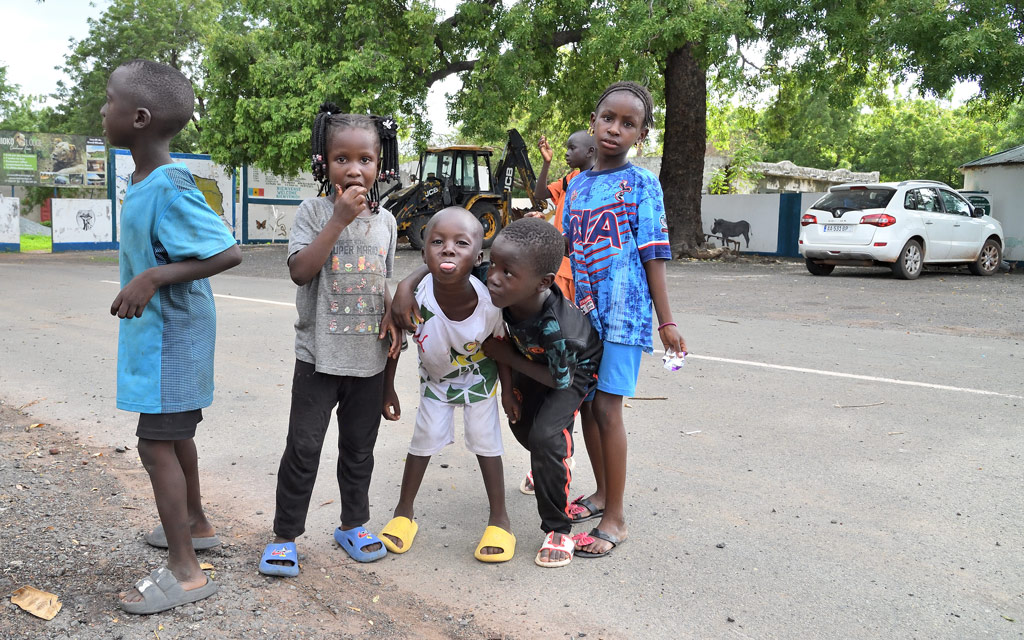 DS5_9251.jpg