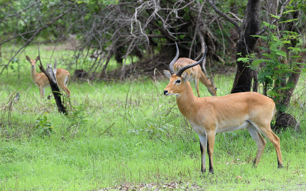 DS5_9512.jpg