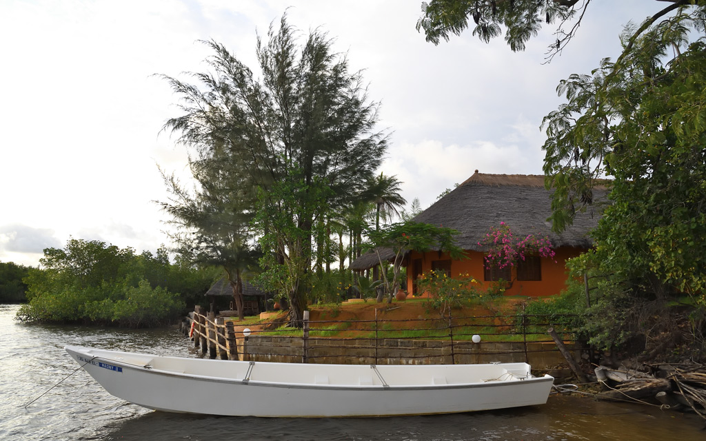 DS5_0034.jpg