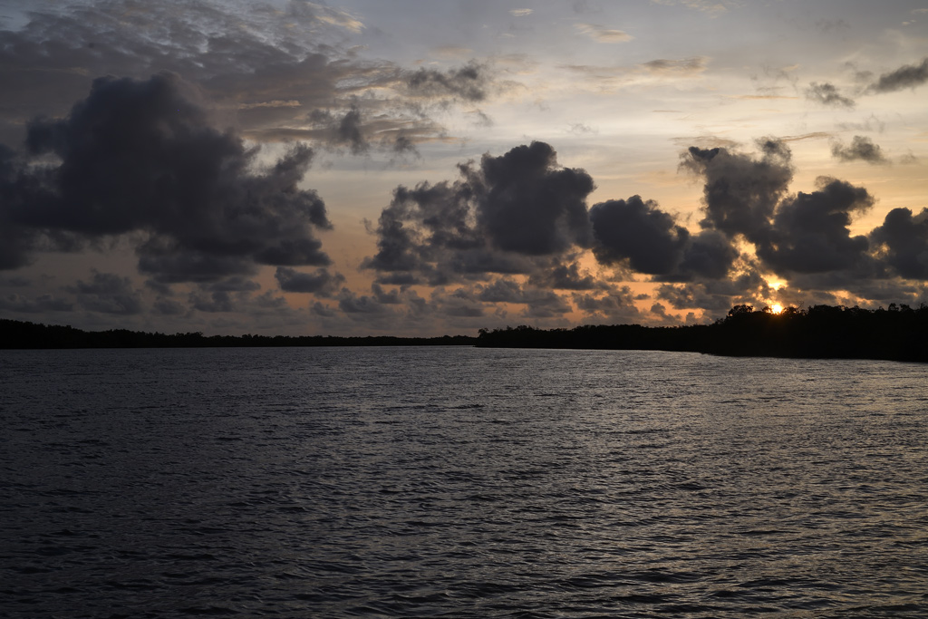 DS5_0047.jpg