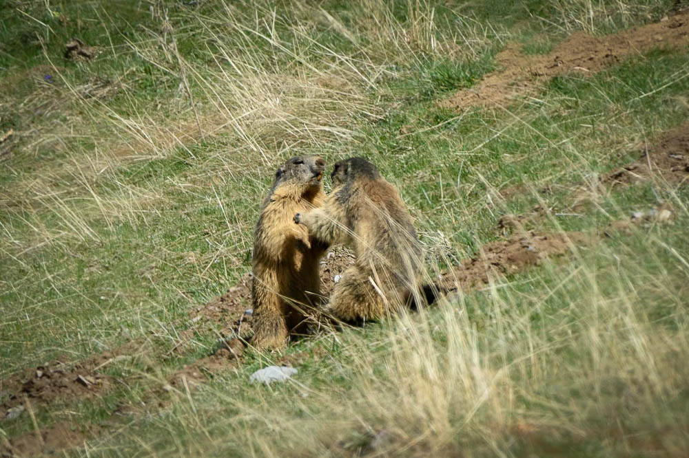 parquetout 2024_14.jpg