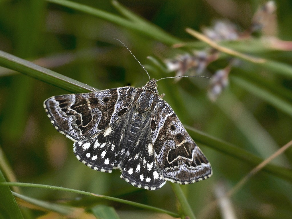 c 5458_1_04_1_02.jpg