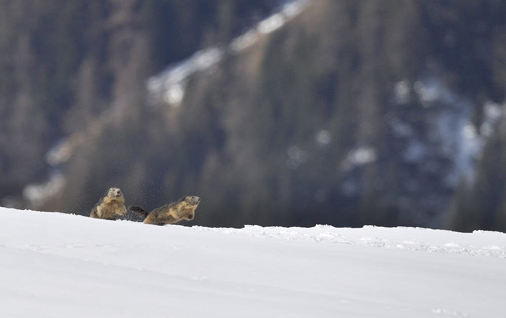 DS5_3641.jpg