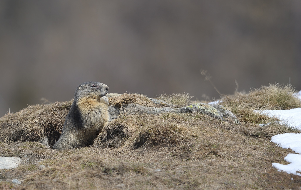DS5_3675.jpg
