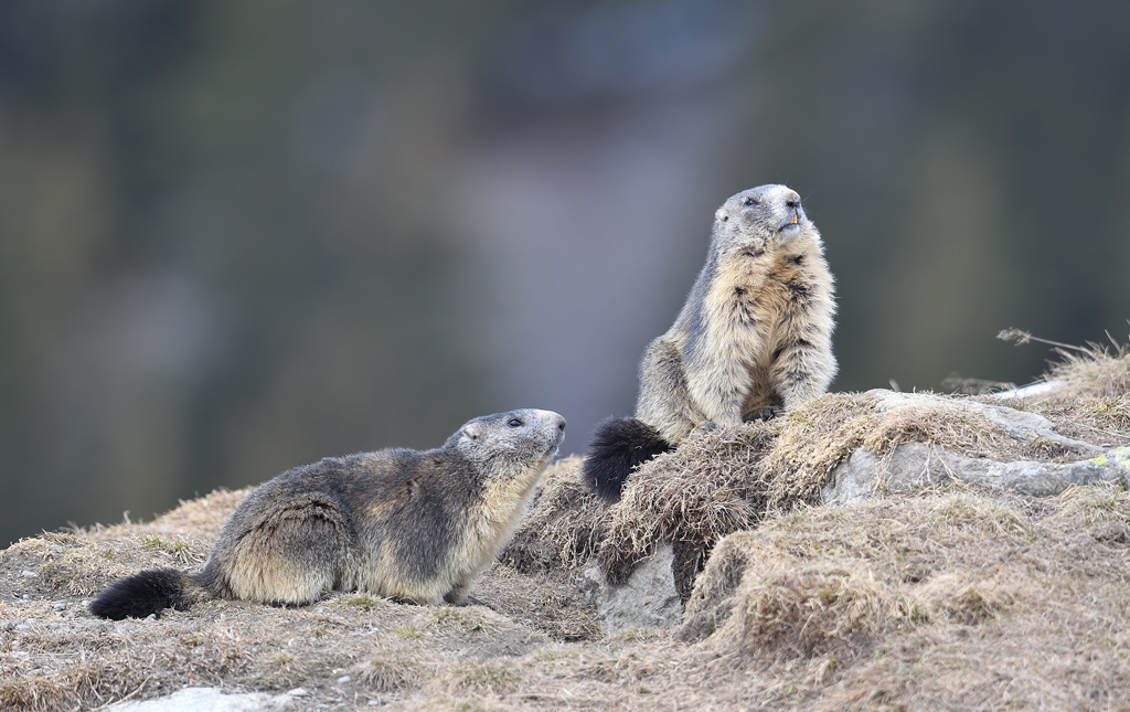 DS5_3682.jpg