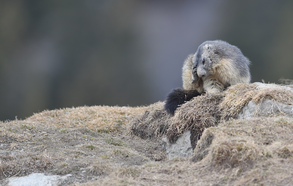 DS5_3684.jpg