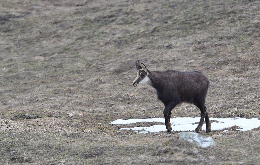 DS5_3706.jpg