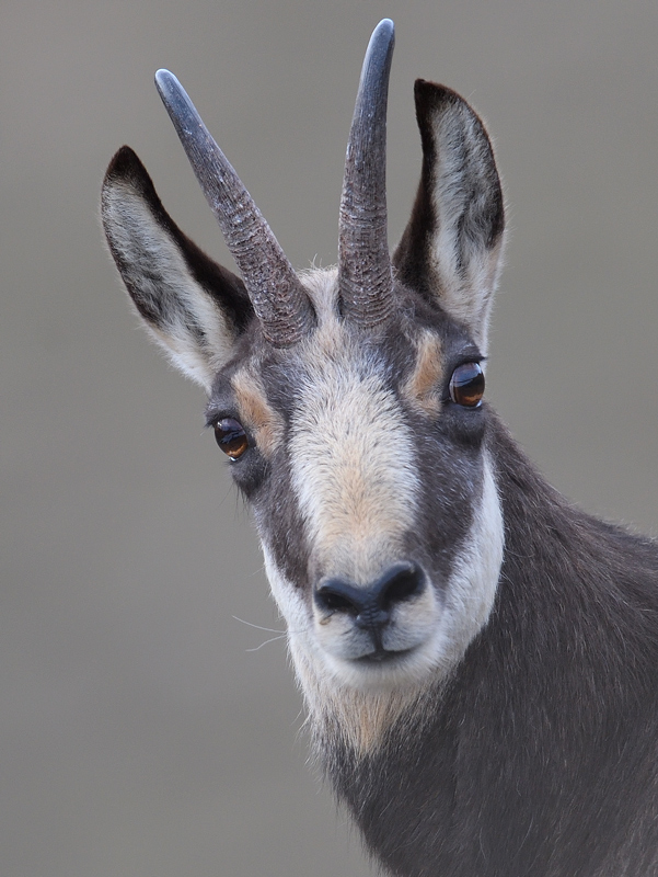 DS5_3713.jpg