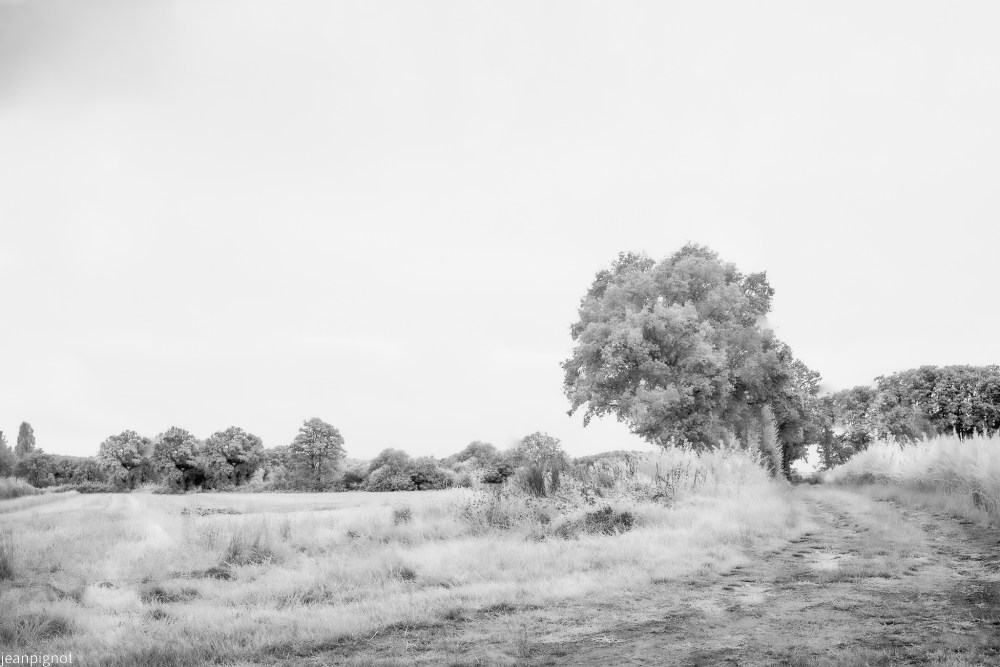 Sans titre-362_3342.JPG