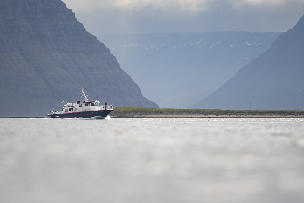 _DSC1846.jpg