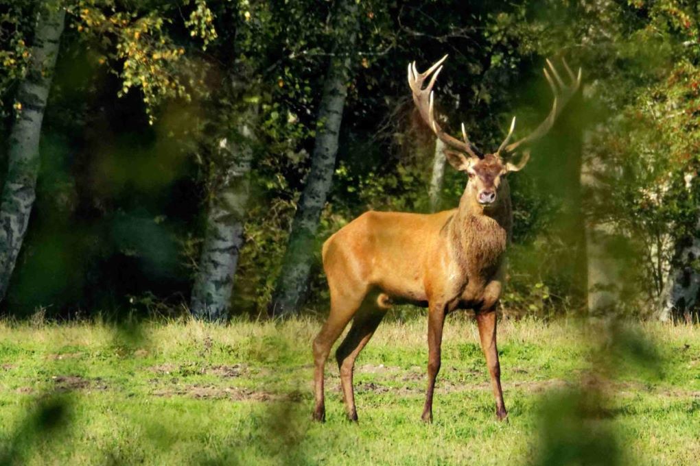 DSC_6908_DxO - Copie.jpg