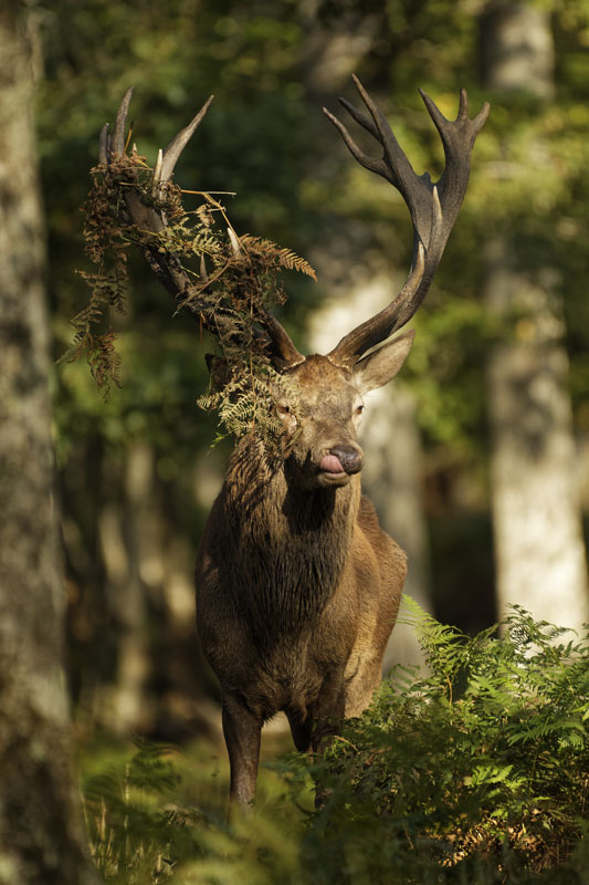 D850-211012-224 .jpg