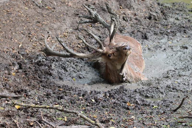 IMG_9584 [800x600].JPG