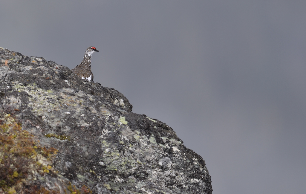 DS5_3841.jpg