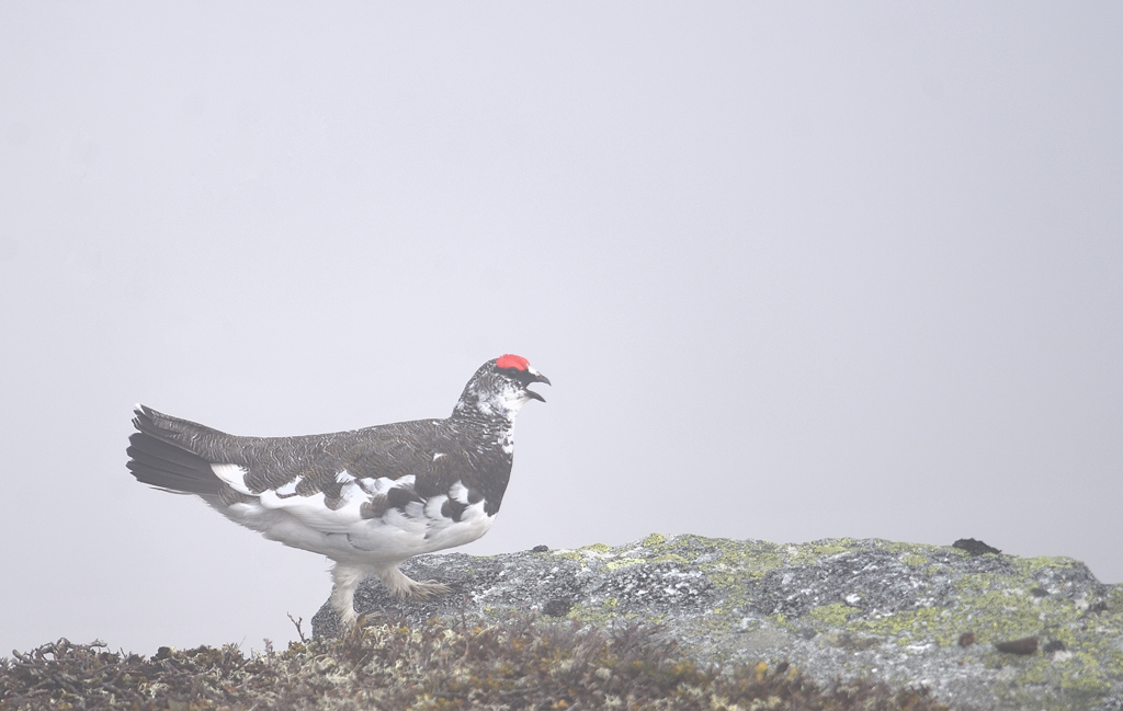 DS5_3852.jpg