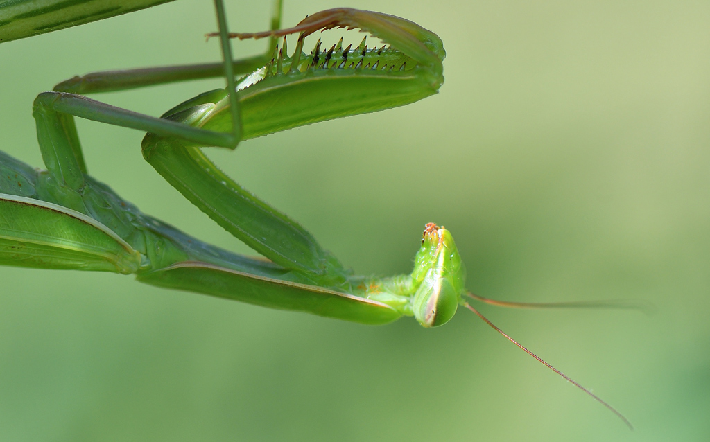 DSC_2214.jpg