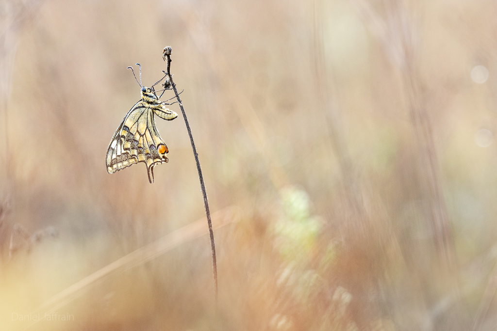 Image et Nature-1-76.jpg