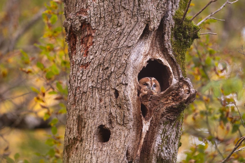 _DSC3507.jpg