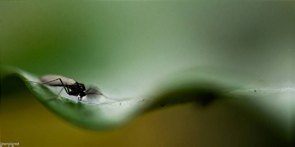 New-Out99997-Do Stack[1,0,1].jpg