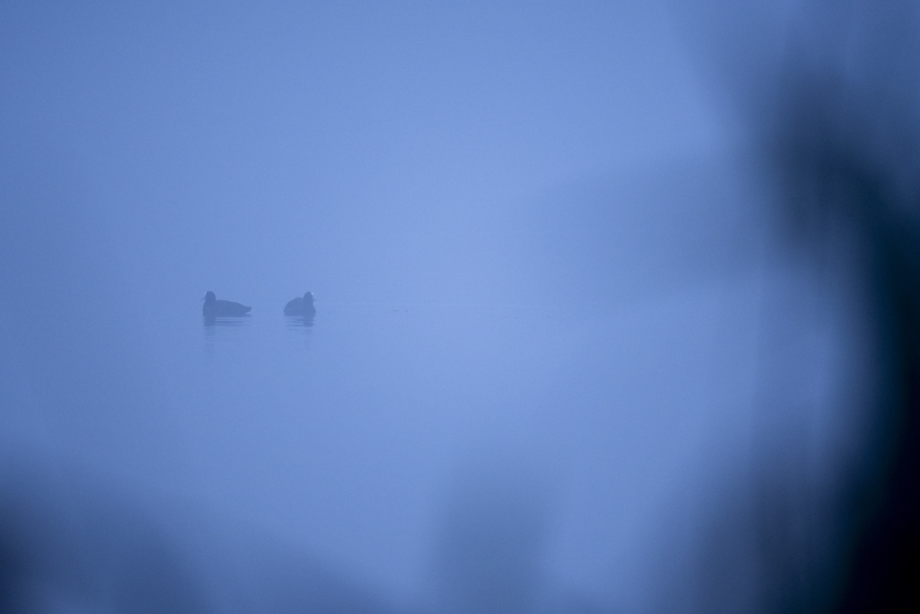 _DSC3904.jpg