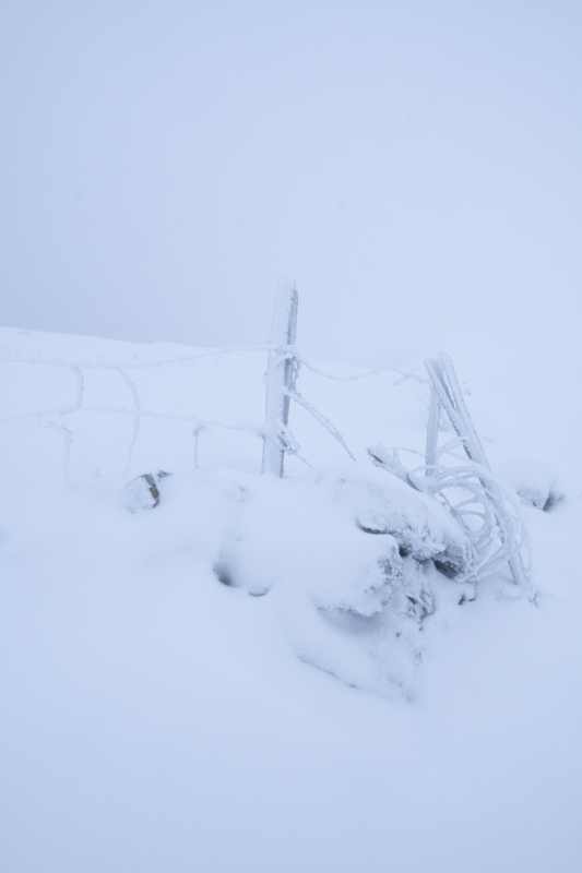 _DSC6320.jpg