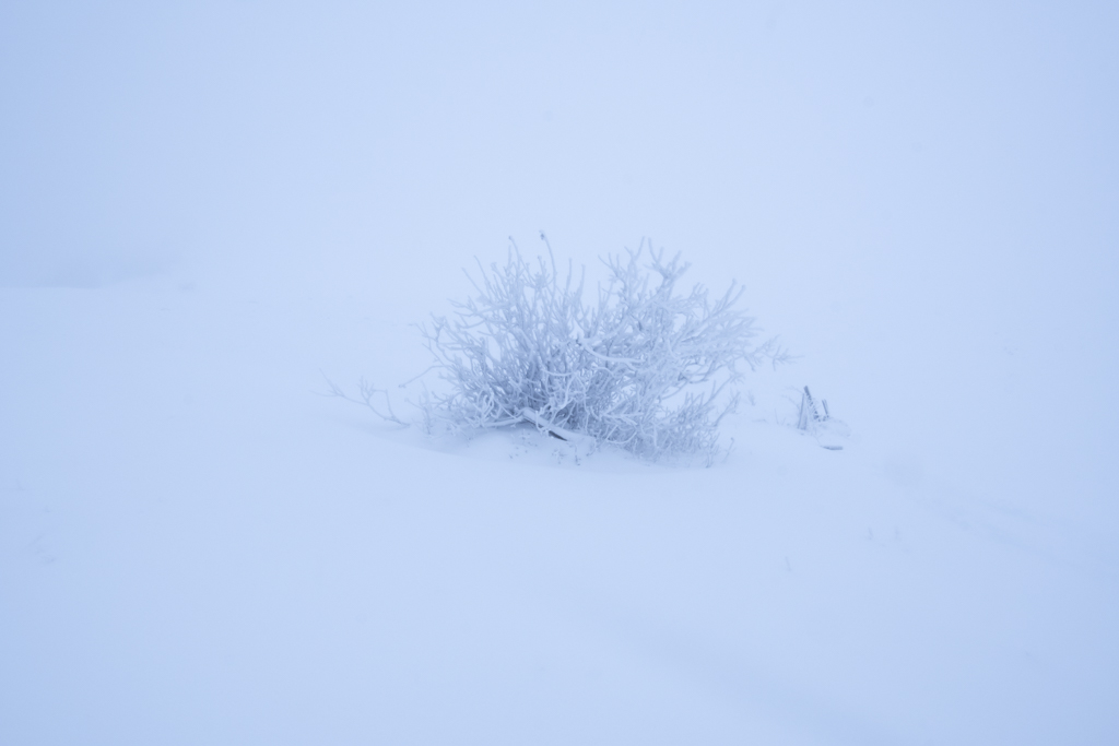_DSC6328.jpg