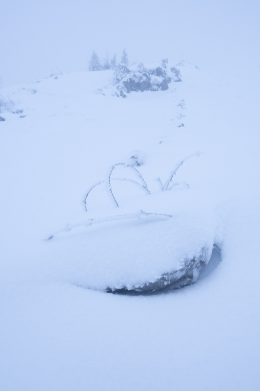 _DSC6360.jpg