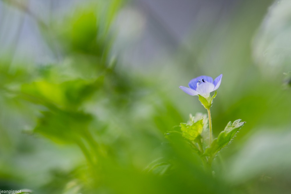 janvier 2024_001janvier 2024.JPG