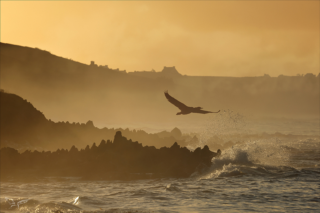 Lever de soleil_.jpg