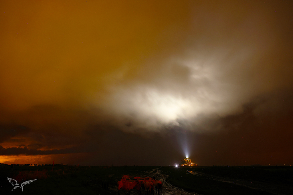 Nuit magique normande.jpg