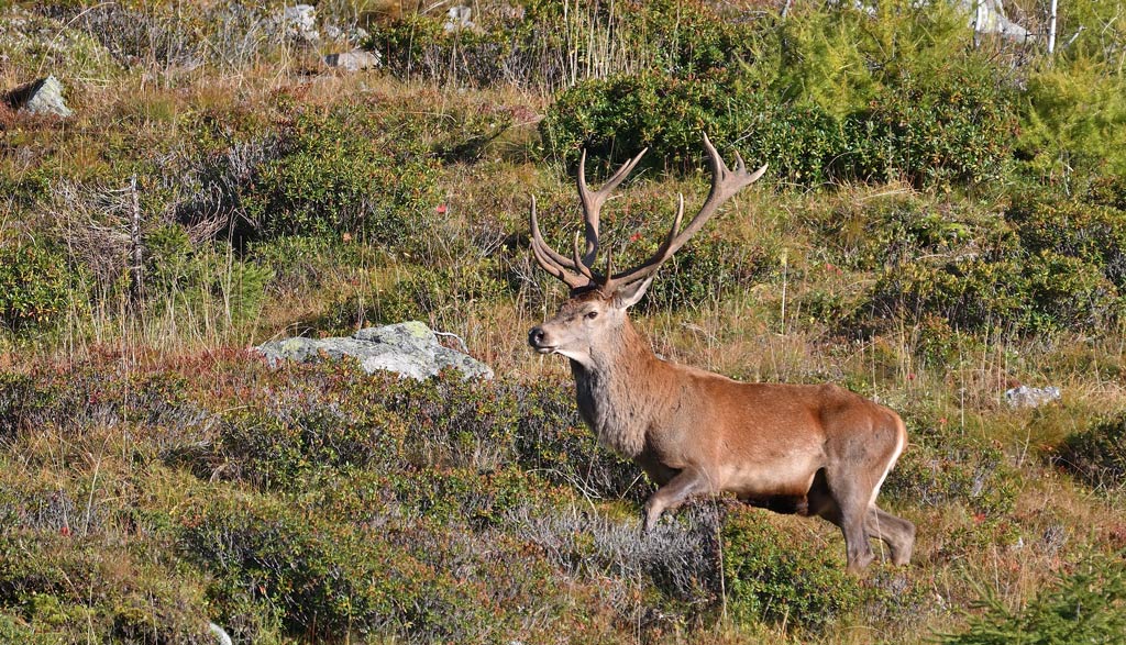 ZSC_9863.jpg
