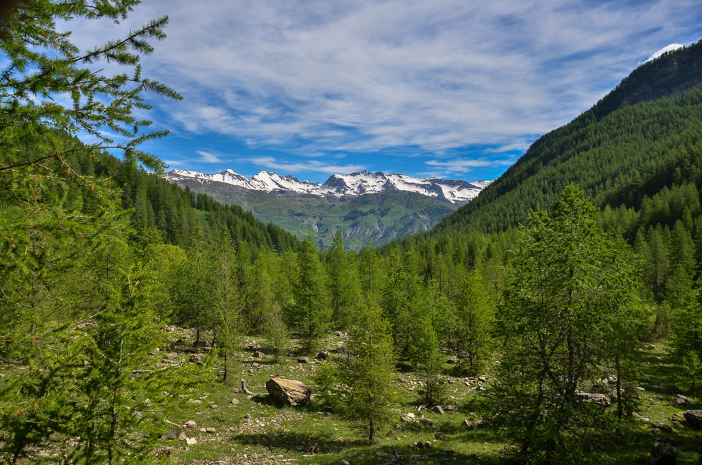 06- Juin 2024 Montée au col de rouanette. Parc des Ecrins..jpg