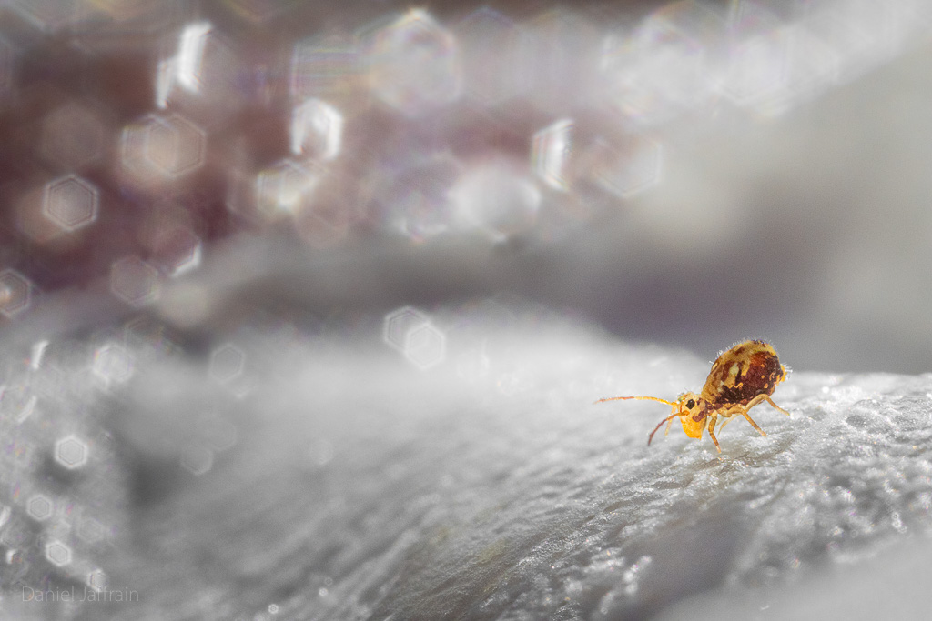 Rétro Image et Nature 2024-11.jpg