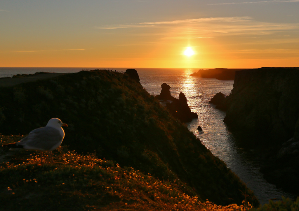 8 Belle-ile-port coton aout2024.JPG