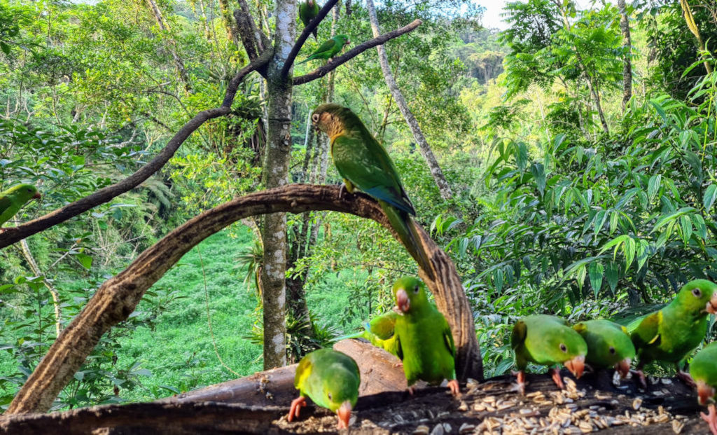 133- terrasse du lodge.jpg