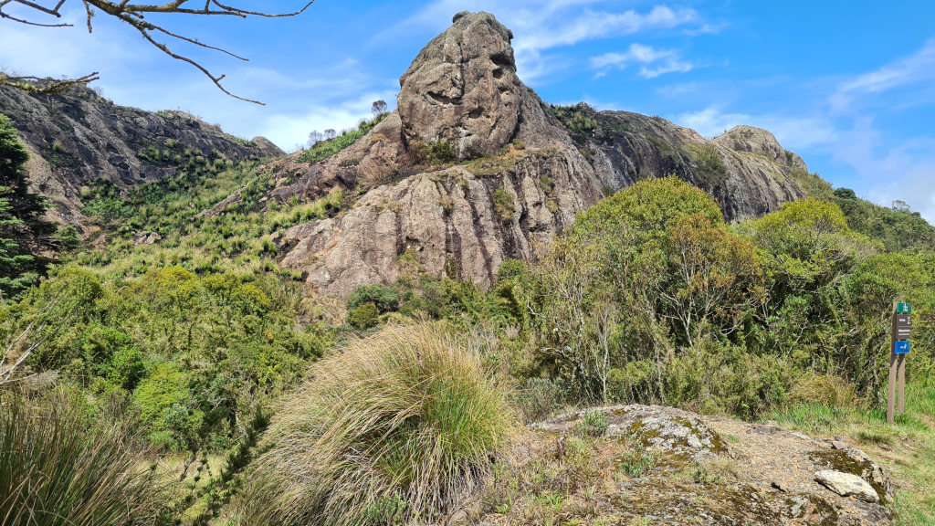 194Itatiaia np haut (2).jpg