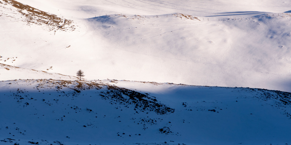 _DSC6535_DxO.jpg